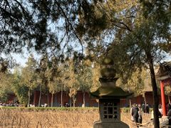 -洛阳白马寺