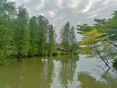 -海珠湖公园