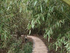 -祥源·阜阳生态乐园