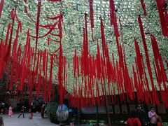 -西双版纳原始森林公园