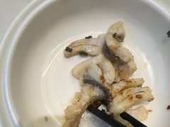-三猫黑鱼花(南大店)