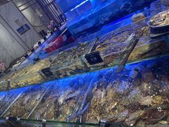 -诱货海鲜自助火锅(爱琴海购物公园东百店)