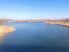 -马家湾湿地公园