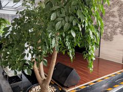 -多乐之日(华贸天地店)