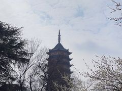 -北寺塔