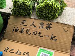 -红山村