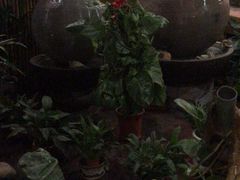 -静之湖湖畔餐厅