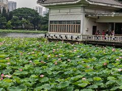 -荔湾湖公园