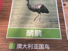 -合肥野生动物园