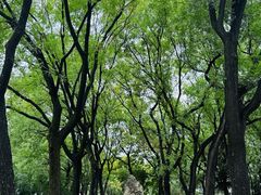 -渭滨公园