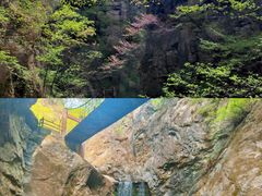 -牛背梁国家森林公园