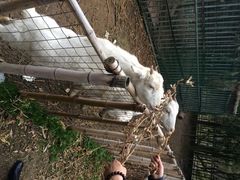 iphone_upload_pic-鸿华度假酒店