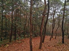 -虞山风景区