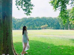 -河南省黄河迎宾馆