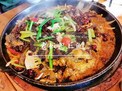 -老板恋上鱼(环山路店)