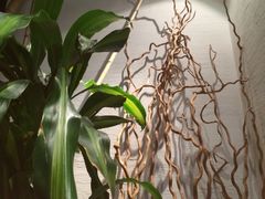 云南云海肴(中关村欧美汇店)-云海肴·汽锅鸡·云南菜(领展购物广场·中关村店)