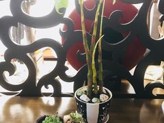 -龙大花卉苗木市场