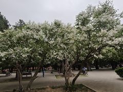 -北京市劳动人民文化宫(太庙)