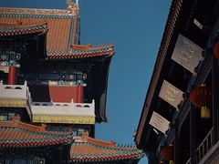 -天津大悲禅院