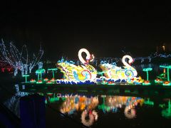 -祥源·阜阳生态乐园