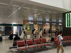 -米兰马尔彭萨国际机场