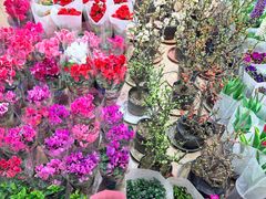 -双季花艺园艺市场(浦东店)