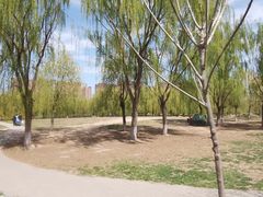 -东坝千亩湖公园