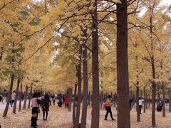 -汉景帝阳陵博物院