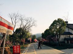 -石塘人家