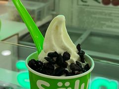 -Salud撒露欧洲冻酸奶(五道口购物中心店)