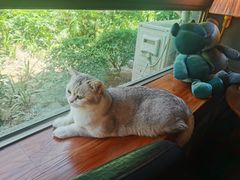 -咖法森林·咖啡  酒吧(天河店)