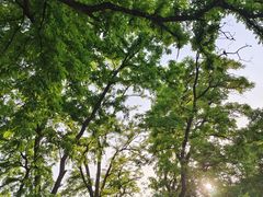 -元大都城垣遗址公园