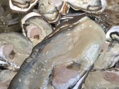 -77号渔船·蒸海鲜青岛菜(积米崖店)