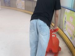 -世界之窗阿尔卑斯冰雪世界