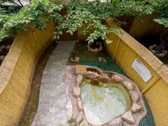 -御林汤泉