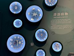 -中国湿地博物馆