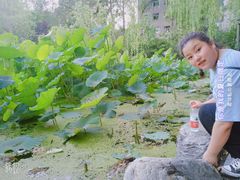 -莲湖公园