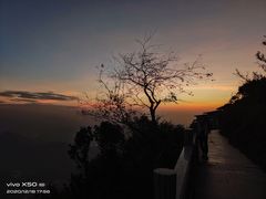 -梧桐山风景名胜区