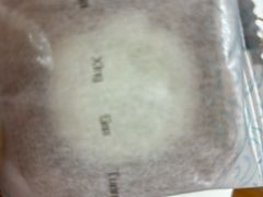 -阮大兴糕团(滨江宝龙店)