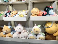-KAKAO FRIENDS(弘大店)
