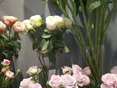 -BOBLOOM花店(宝龙旭辉广场店)