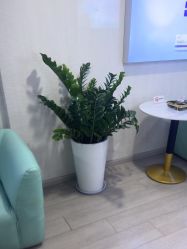 -安徽合肥韩美整形外科医院