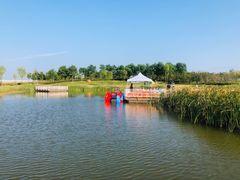 -春花秋色城市公园