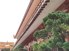 -深圳仙湖植物园