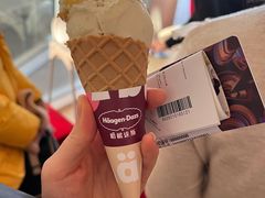 -哈根达斯(亿合城店)