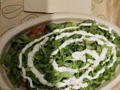 -油梨树 AVOCADO TREE(亮马桥店)