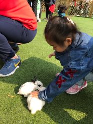 -萌宠亲子动物乐园(槐房万达店)