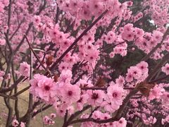 -中国石油大学（北京）(北京西校区)