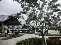 -长兴太湖图影湿地文化园