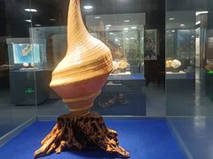 -贝壳王国博物馆